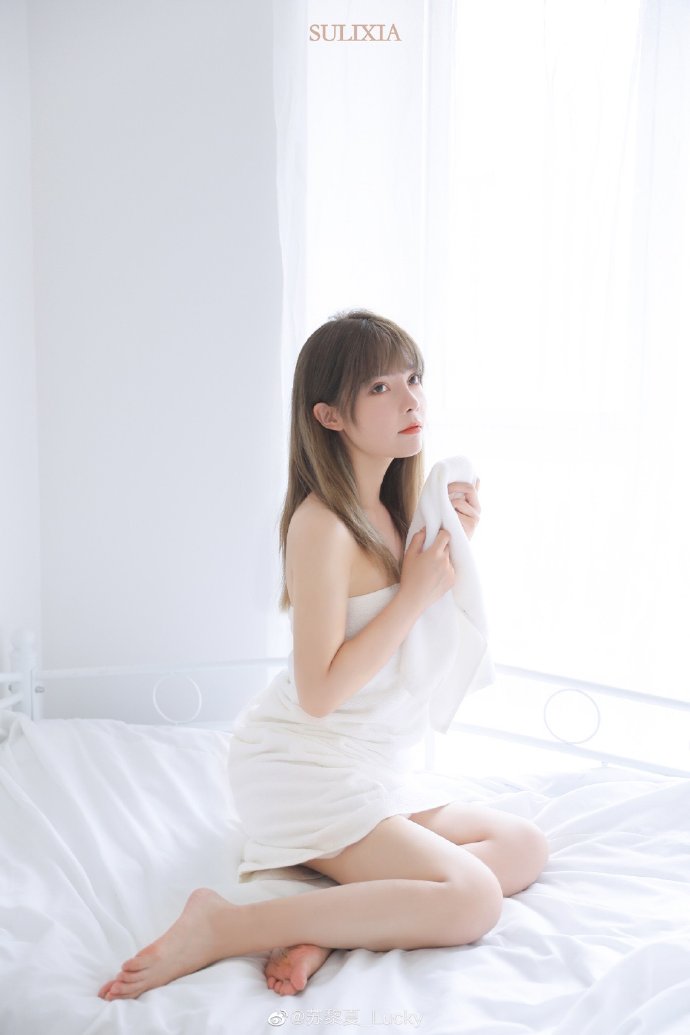 龙猫